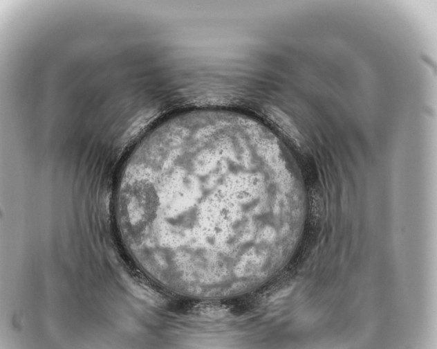 X0000095890491200801251206