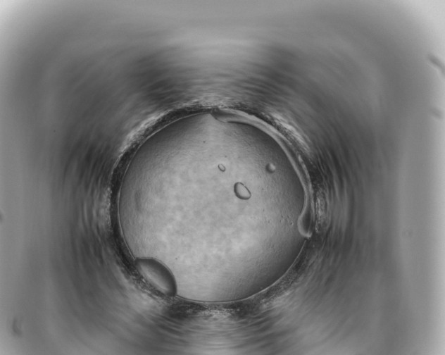 X0000095890492200801251206