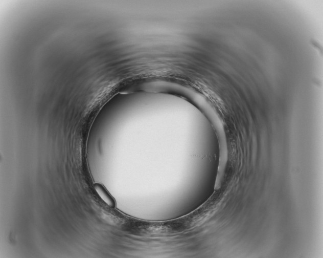 X0000095890493200801251206