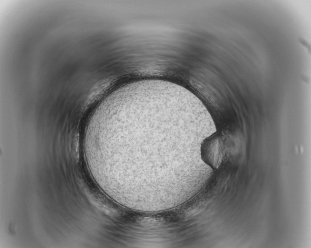 X0000095890494200801251206