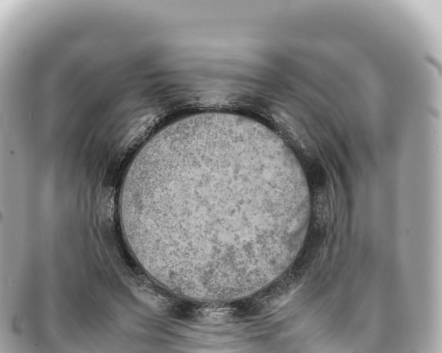 X0000095890495200801251206