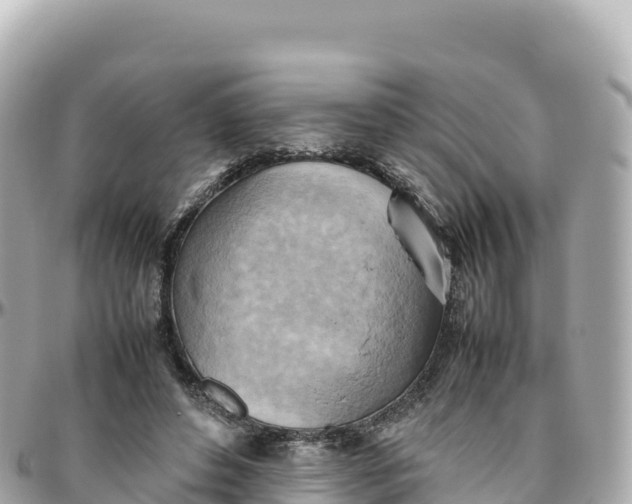 X0000095890496200801251206