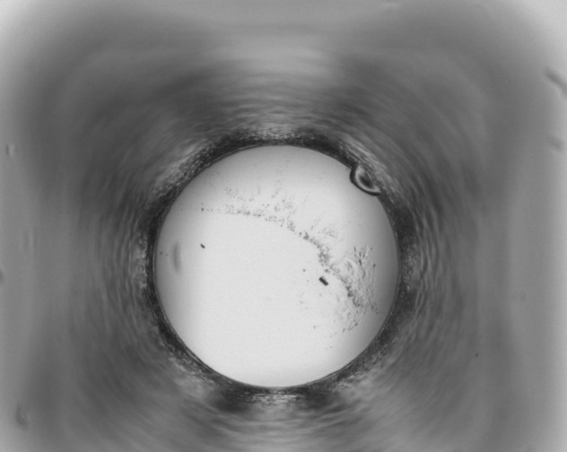 X0000095890497200801251206