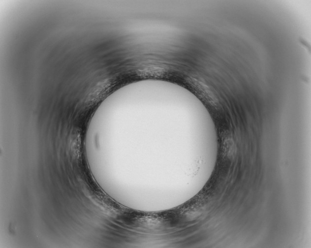 X0000095890498200801251206