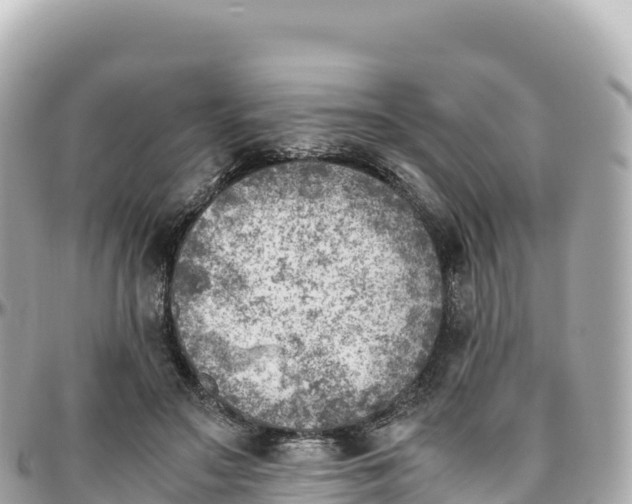 X0000095890499200801251206