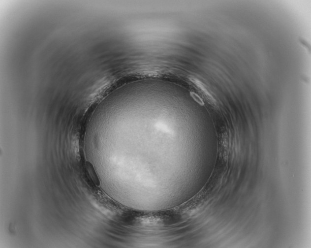 X0000095890500200801251206