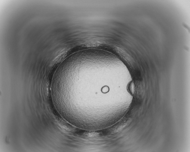 X0000095890501200801251206