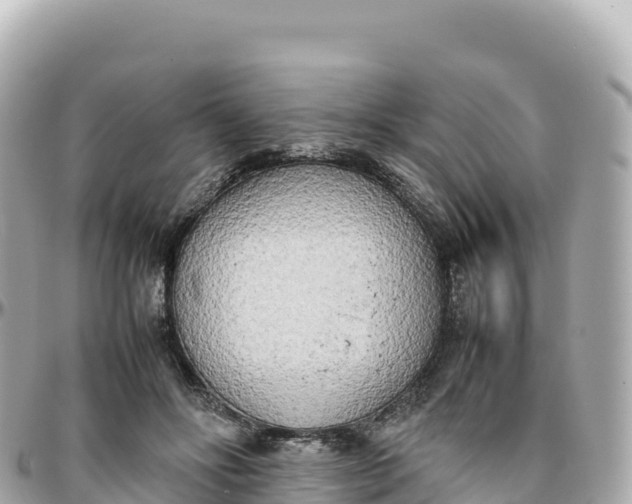 X0000095890502200801251206