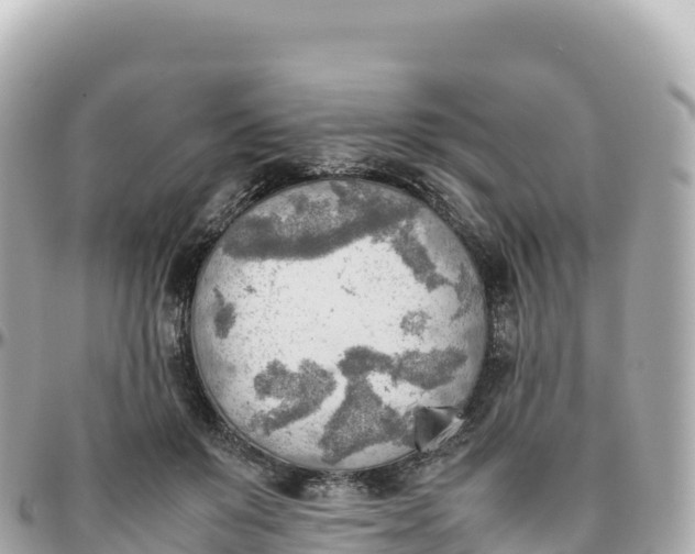 X0000095890503200801251206