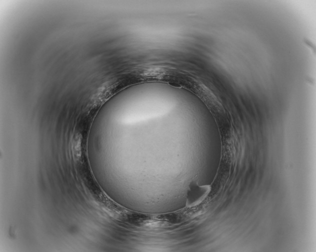 X0000095890504200801251206