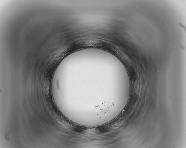 X0000095890505200801251206