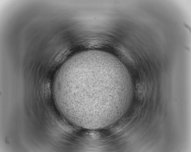 X0000095890506200801251205