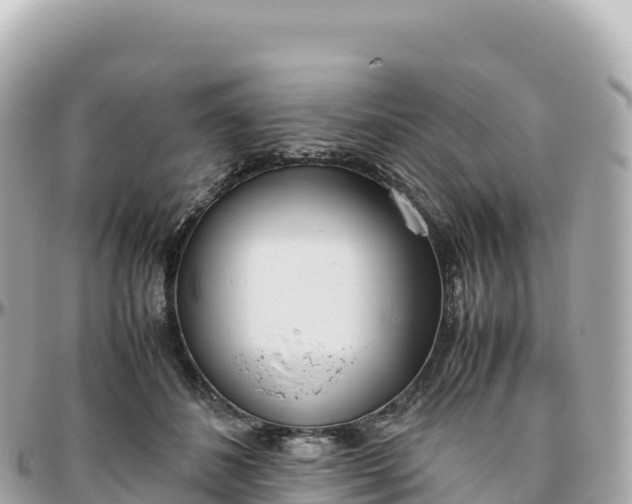 X0000095890508200801251205