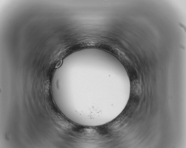 X0000095890509200801251205