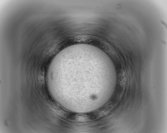 X0000095890510200801251205