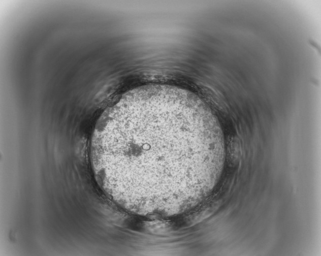 X0000095890511200801251205