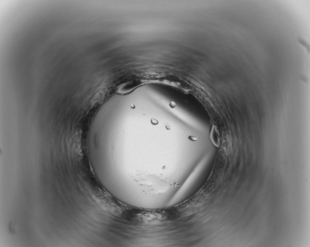 X0000095890512200801251205