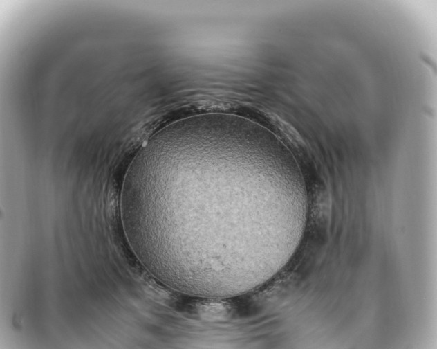 X0000095890513200801251205