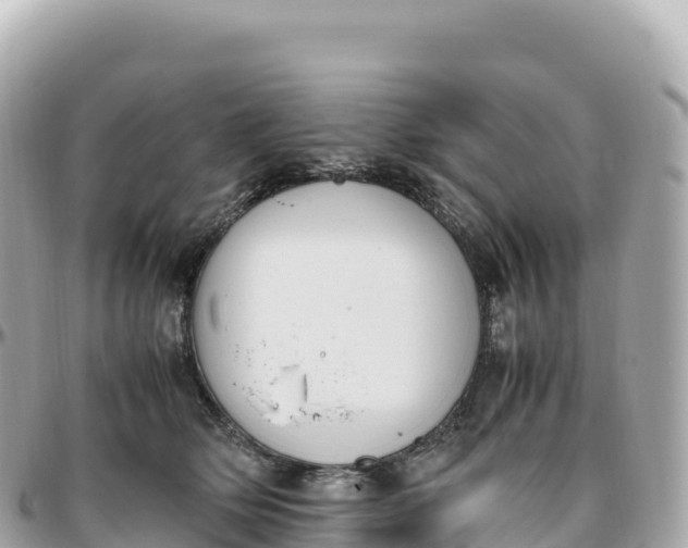 X0000095890514200801251205