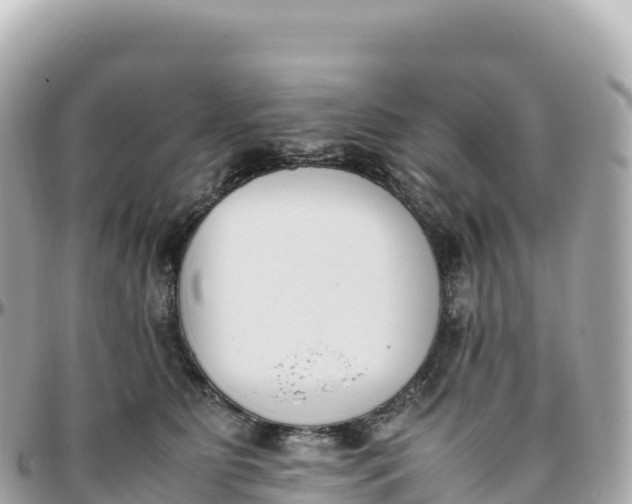 X0000095890515200801251205