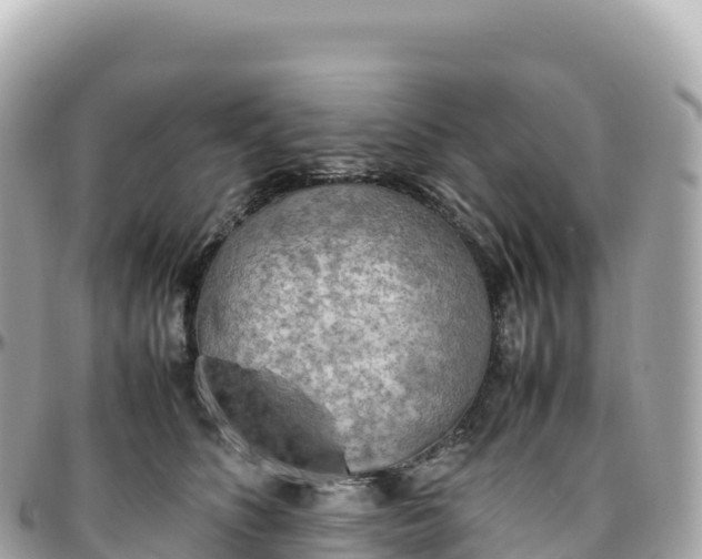 X0000095890516200801251205