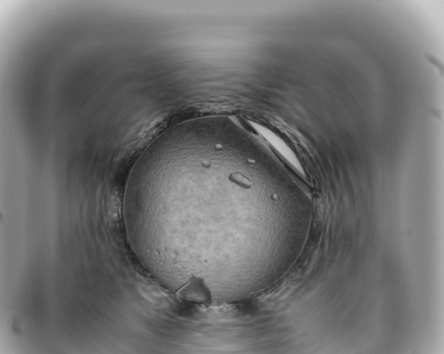 X0000095890517200801251205