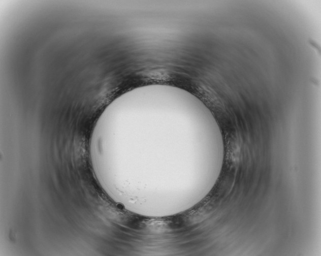 X0000095890518200801251205