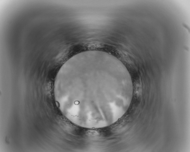 X0000095890519200801251205