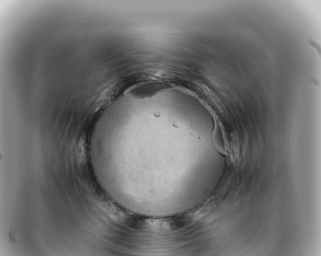 X0000095890520200801251205