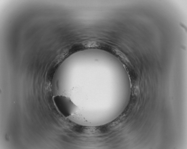 X0000095890521200801251205