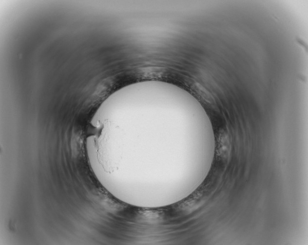 X0000095890522200801251205