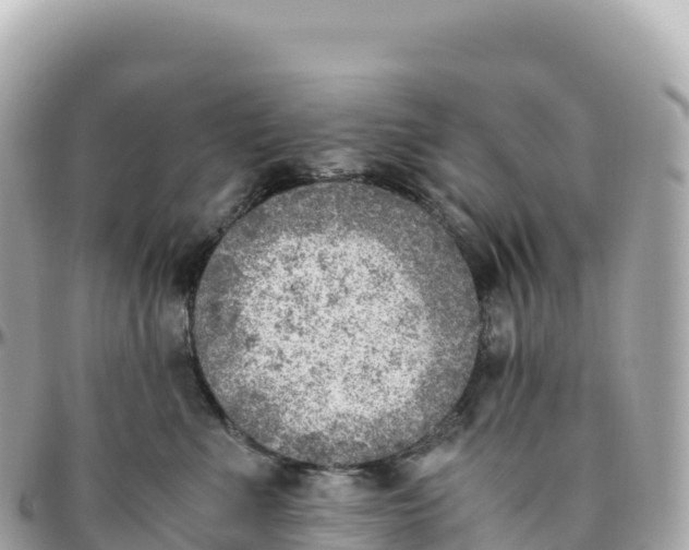 X0000095890523200801251205