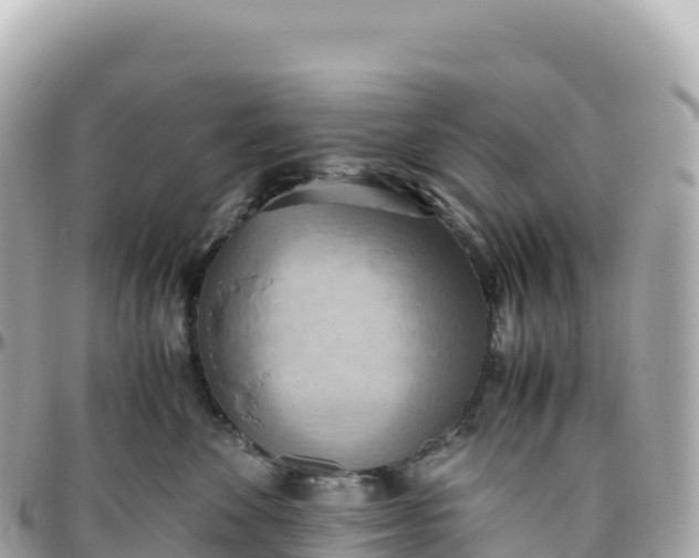 X0000095890524200801251205