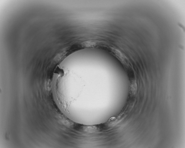 X0000095890525200801251205