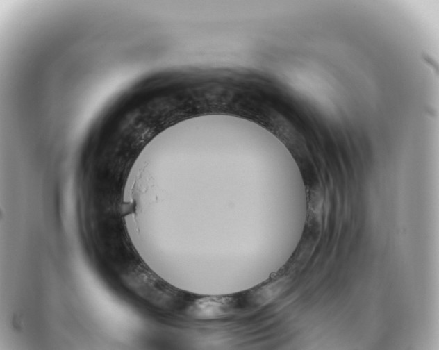 X0000095890526200801251205