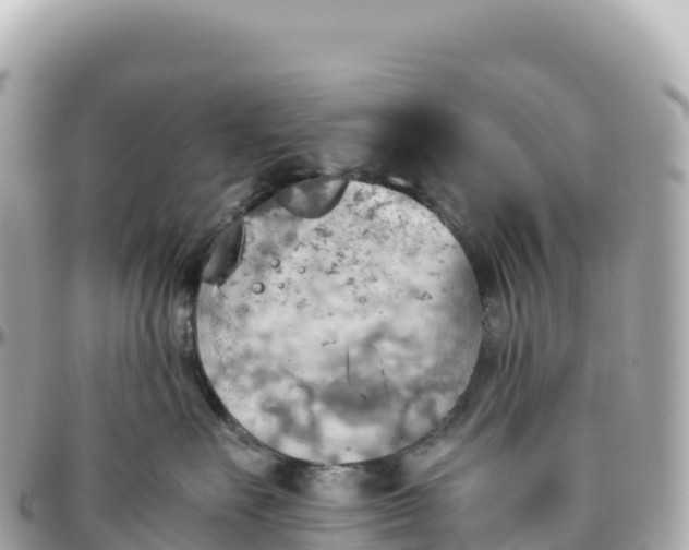 X0000095890527200801251205