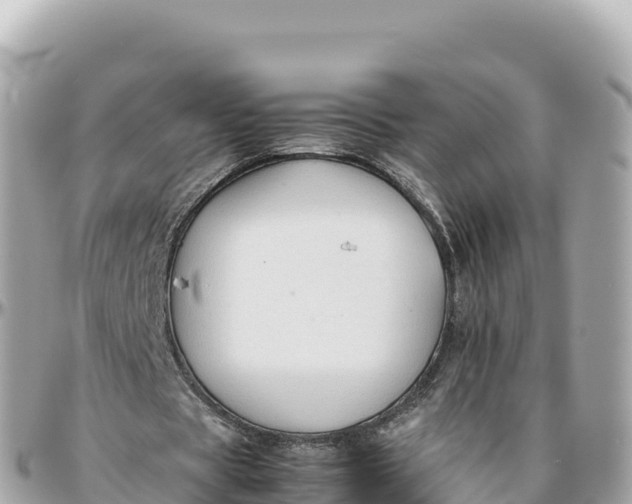 X0000095890529200801251204