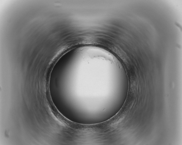 X0000095890530200801251204