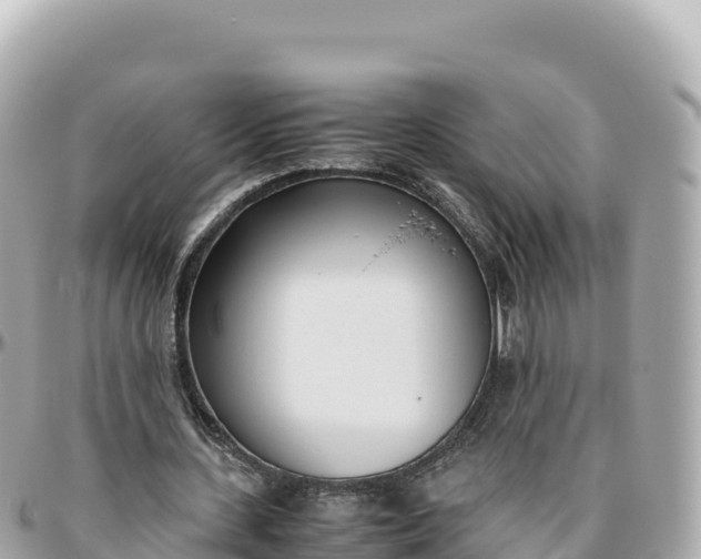 X0000095890531200801251204