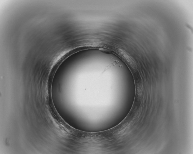 X0000095890532200801251204