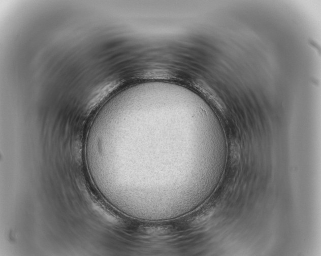 X0000095890533200801251204