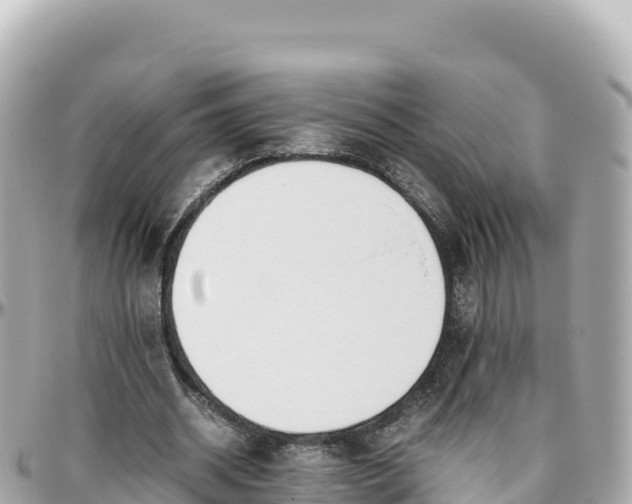 X0000095890534200801251204