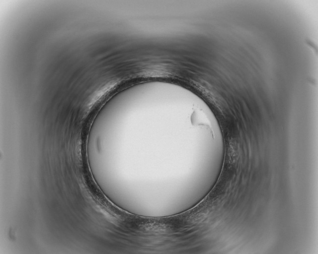 X0000095890535200801251204