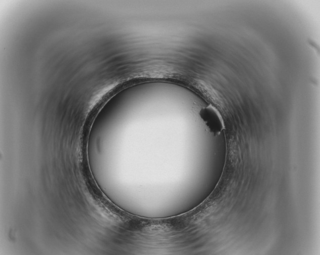 X0000095890536200801251204