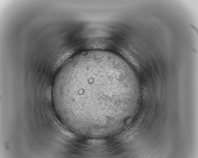 X0000095890537200801251204