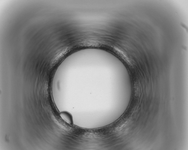 X0000095890538200801251204