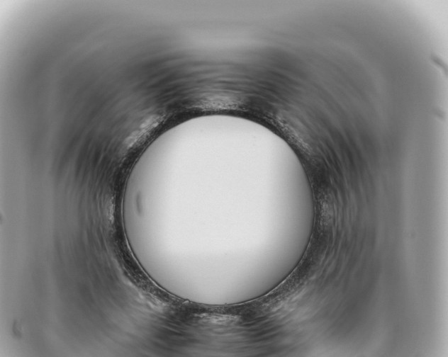 X0000095890539200801251205