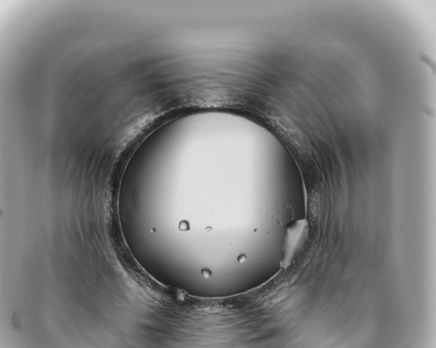 X0000095890540200801251205