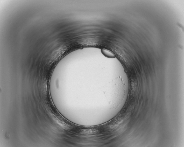 X0000095890541200801251205