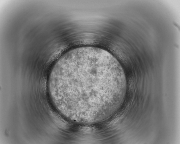 X0000095890542200801251205